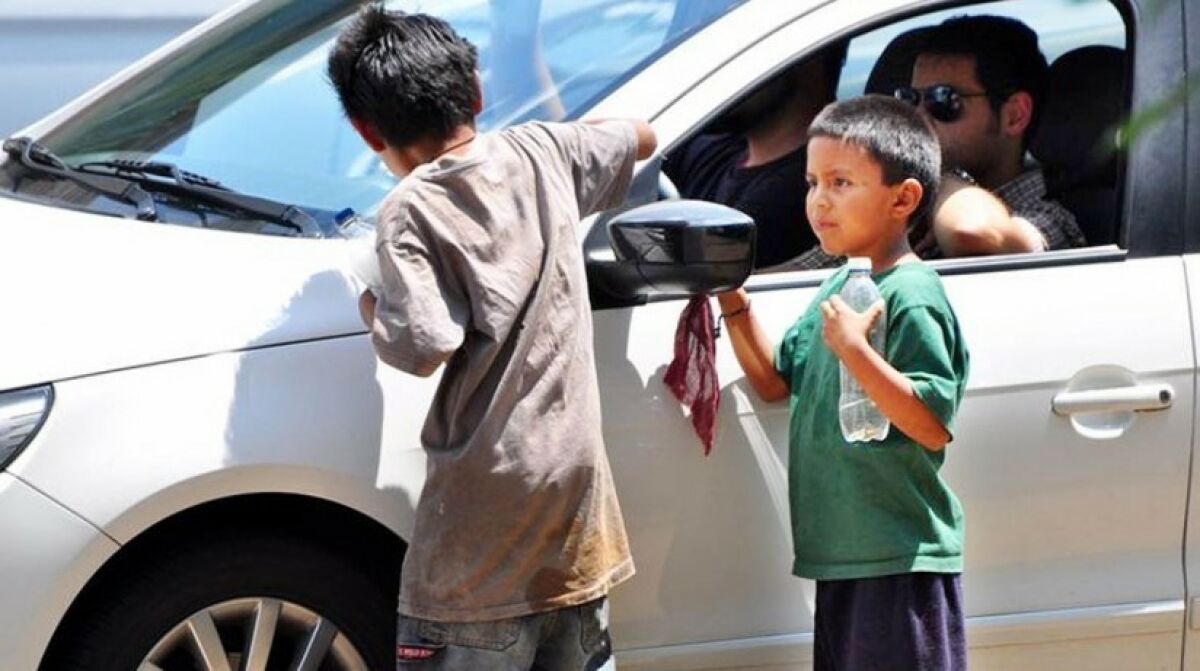 Imagem principal de TRABALHO INFANTIL - MENOR APRENDIZ